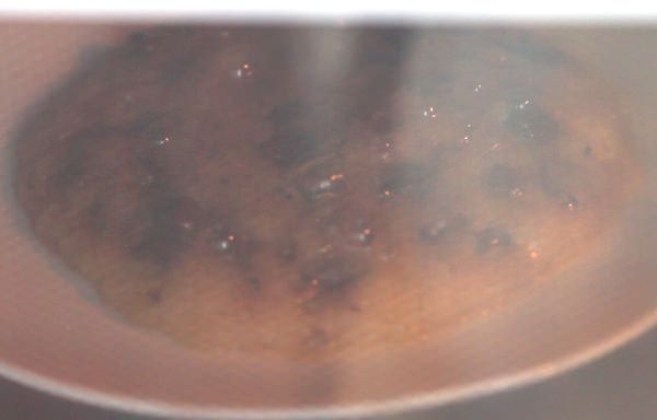 microwave-chocolate-chip-cookie-recipe5