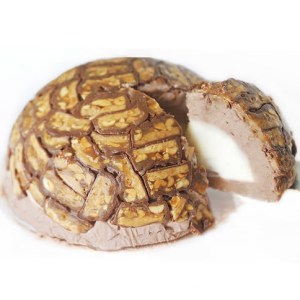 Snickers Chocolate Ice Cream Bombe Cake (Dome Cake)