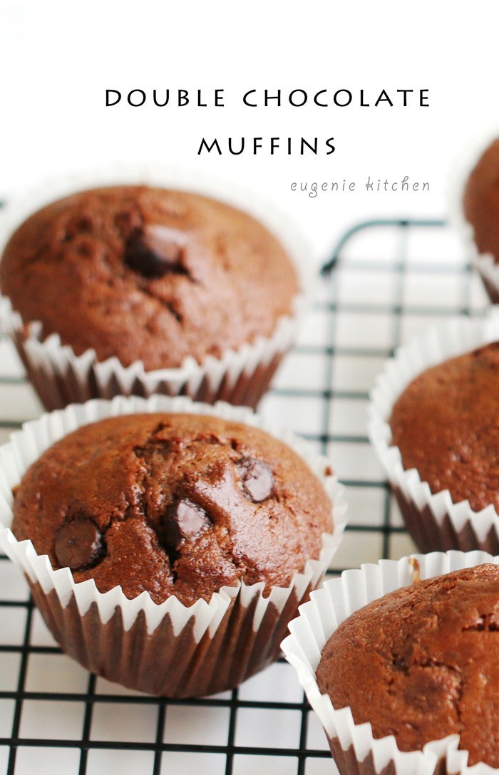 Moist Double Chocolate Muffin Recipe