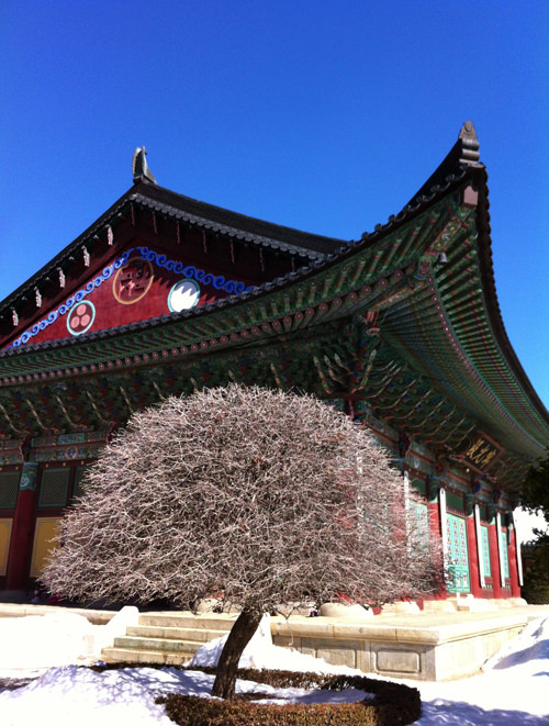Another shot at the temple 월각사.