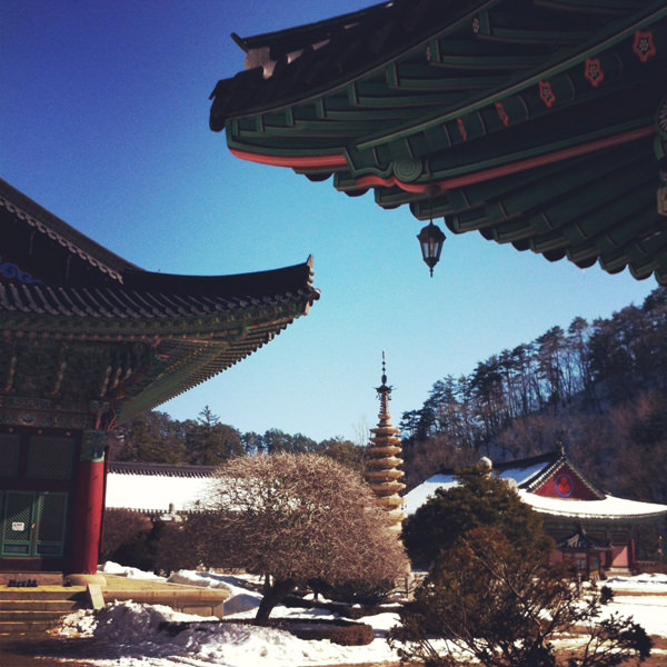 This is a temple shot which I shared on Instagram already. 월각사